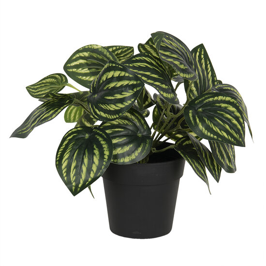 Clayre & Eef | Kunstbloem Groen 24x24x25 cm | 6PL0217