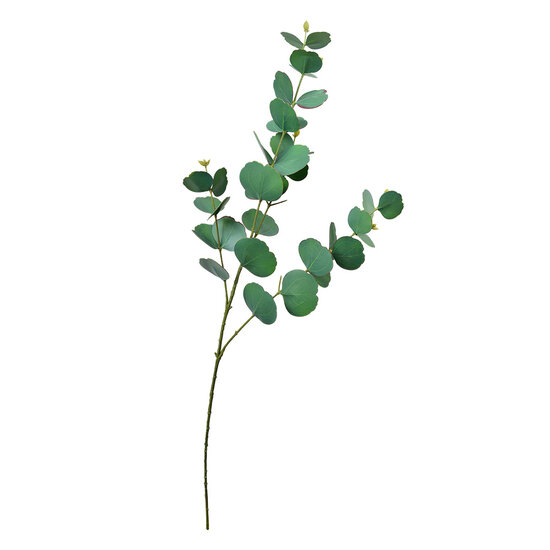 Clayre & Eef | Decoratie tak Groen 18x6x85 cm | 5PL0104