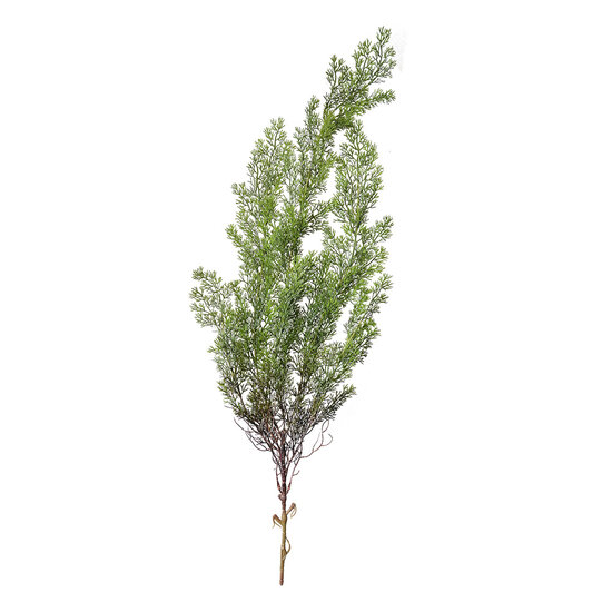 Clayre & Eef | Decoratie Cipres tak Groen 10x10x100 cm | 5PL0087