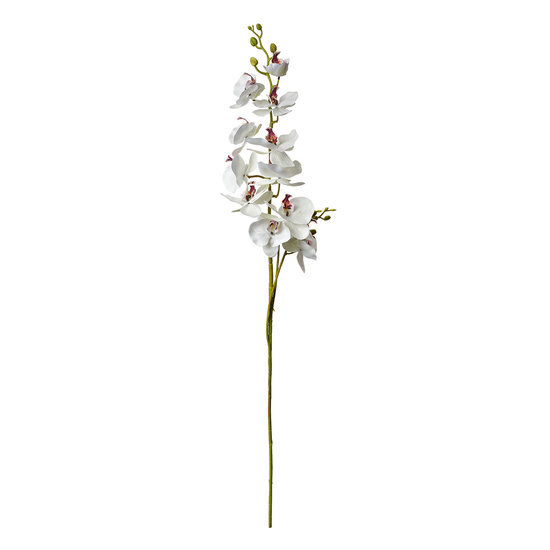 Clayre & Eef | Decoratie tak met bloemen Wit Groen 16x10x115 cm | 5PL0126