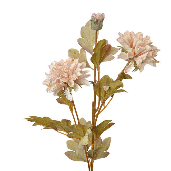 Clayre & Eef | Decoratie tak met bloemen Beige 9x9x68 cm | 6PL0328W