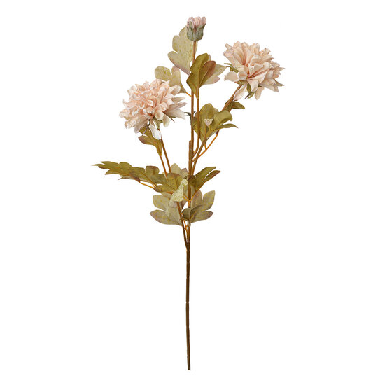 Clayre & Eef | Decoratie tak met bloemen Beige 9x9x68 cm | 6PL0328W