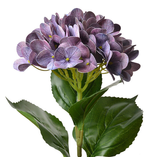 Clayre & Eef | Kunstbloem Paars Groen 16x15x68 cm | 5PL0137LPA