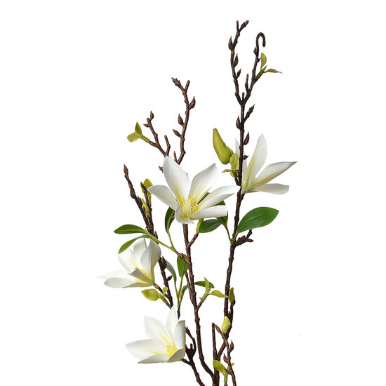 Clayre & Eef | Decoratie tak met bloemen Wit Groen 15x7x84 cm | 5PL0129W