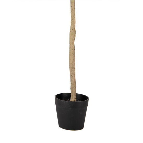 Clayre & Eef | Decoratie boom Groen 20x20x90 cm | 5PL0149