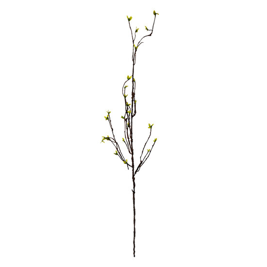 Clayre &amp; Eef   | Decoratie Tak Groen Bruin 8x5x116 cm | 5PL0182