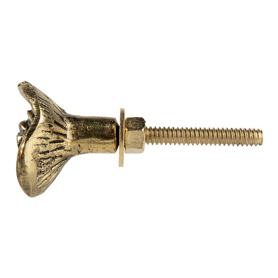 Clayre & Eef | Deurknop Goudkleurig ø 3x3 cm / S3 cm | 66060
