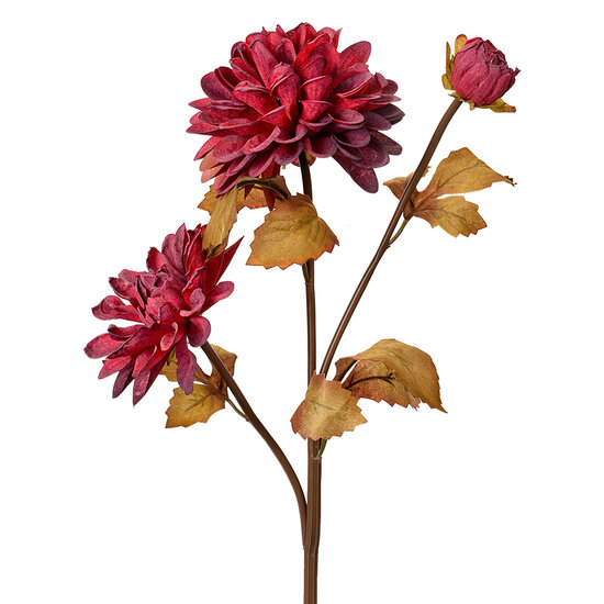 Clayre &amp; Eef   | Kunstbloem Rood Bruin 10x10x66 cm | 6PL0387R