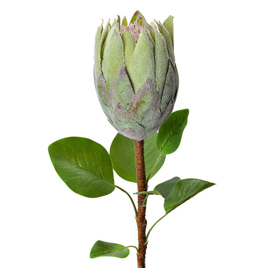 Clayre &amp; Eef   | Kunstbloem Groen 10x10x65 cm | 6PL0389GR