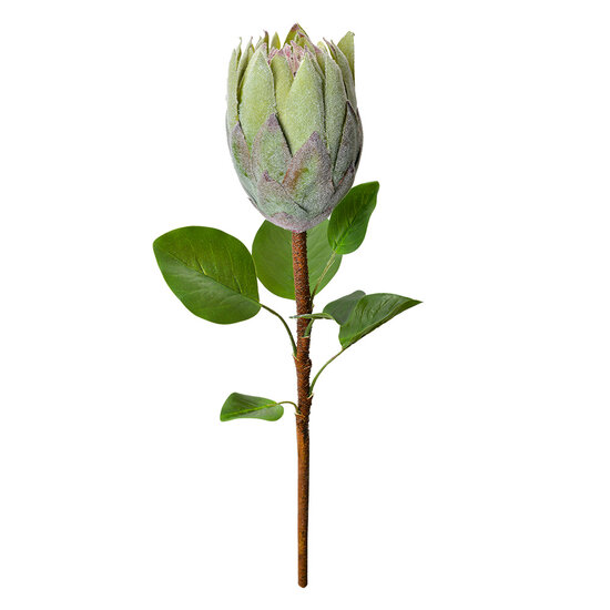 Clayre &amp; Eef   | Kunstbloem Groen 10x10x65 cm | 6PL0389GR