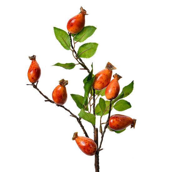 Clayre & Eef | Decoratie tak Oranje Groen 10x8x50 cm | 6PL0390O