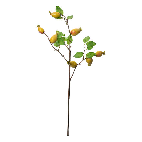Clayre & Eef | Decoratie tak Geel Groen 10x8x50 cm | 6PL0390Y