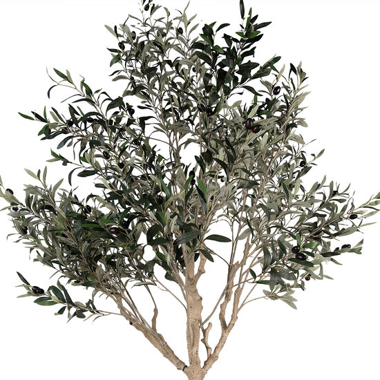 Clayre &amp; Eef   | Decoratie Olijfboom Groen Beige 120x80x240 cm | 5PL0139
