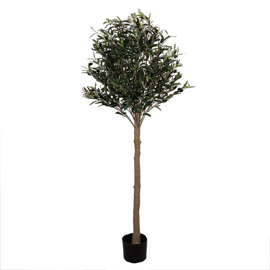 Clayre & Eef | Decoratie boom Groen 50x50x165 cm | 5PL0148