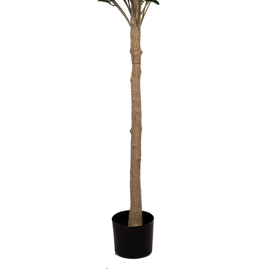 Clayre & Eef | Decoratie boom Groen 50x50x165 cm | 5PL0148