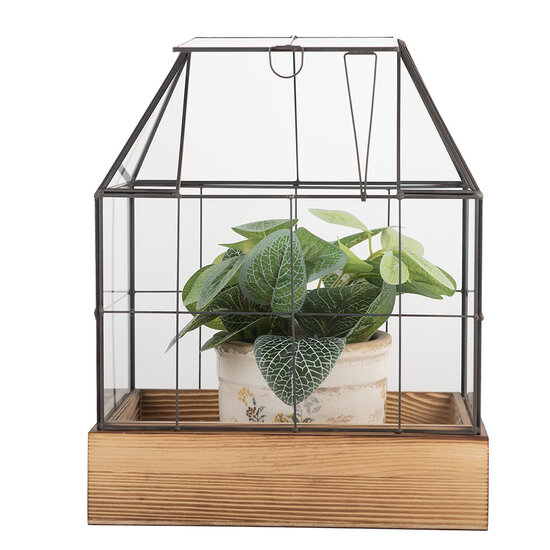 Clayre & Eef | Decoratie Kweekkasje Transparant Bruin 26x17x32 cm | 6GL5363