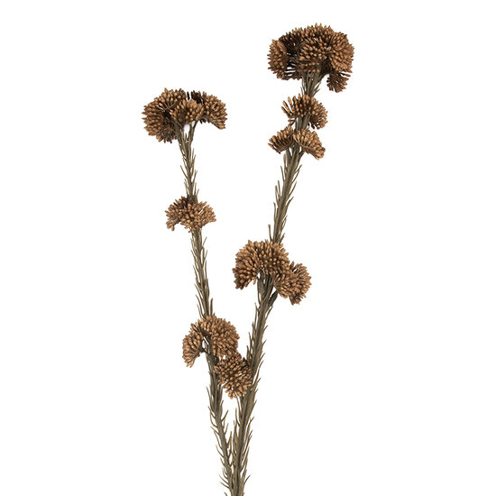 Clayre & Eef | Decoratie tak met bloemen Bruin Groen 6x6x58 cm | 6PL0399CH