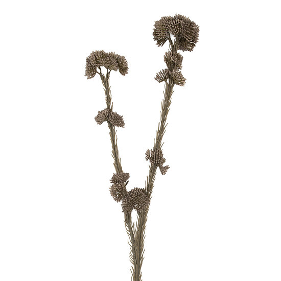 Clayre & Eef | Decoratie tak met bloemen Grijs Groen 6x6x58 cm | 6PL0399G