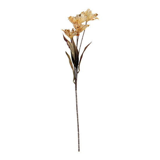 Clayre & Eef | Decoratie tak met bloemen Bruin Groen 8x5x60 cm | 6PL0403BE
