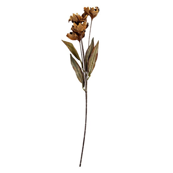 Clayre & Eef | Decoratie tak met bloemen Bruin Groen 8x5x60 cm | 6PL0403CR