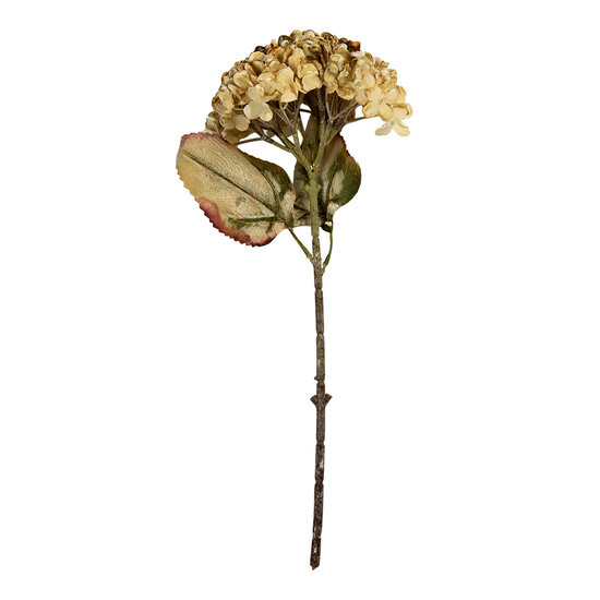 Clayre & Eef | Decoratie tak met bloemen Beige Groen 15x15x47 cm | 6PL0404BE