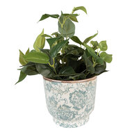 Clayre &amp; Eef   | Bloempot Binnen Groen &oslash; 21x20 cm | 6CE1574L