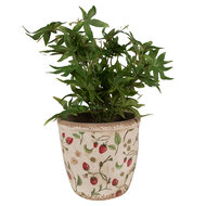 Clayre & Eef | Bloempot Binnen Beige, Rood ø 16x16 cm | 6CE1631L