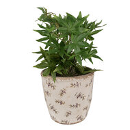 Clayre & Eef | Bloempot Binnen Beige ø 16x16 cm | 6CE1669L