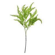 Clayre & Eef | Decoratie tak Groen 8x4x75 cm | 5PL0081