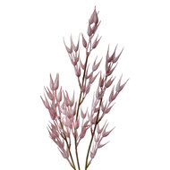 Clayre & Eef | Decoratie tak Roze 6x6x72 cm | 5PL0058