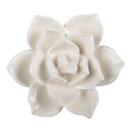 Clayre & Eef | Deurknop Wit Bruin ø 5x4 cm | 62349