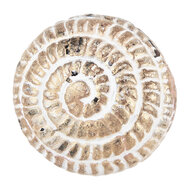 Clayre & Eef | Deurknop Bruin Beige ø 4x4 cm | 64179