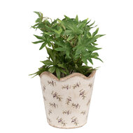 Clayre & Eef | Bloempot Binnen Beige ø 19x18 cm | 6CE1672L