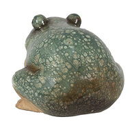 Clayre & Eef | Decoratie Kikker Groen 13x12x9 cm | 6PR4124