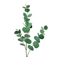 Clayre & Eef | Decoratie tak Groen 18x6x85 cm | 5PL0104