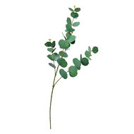 Clayre & Eef | Decoratie tak Groen 18x6x85 cm | 5PL0104