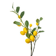 Clayre & Eef | Decoratie tak met Citroenen Geel Groen 20x7x102 cm | 5PL0105