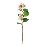 Clayre & Eef | Decoratie tak met bloemen Wit Groen 18x10x80 cm | 5PL0116W
