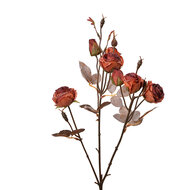 Clayre & Eef | Decoratie tak met bloemen Oranje Bruin 16x9x73 cm | 6PL0330P