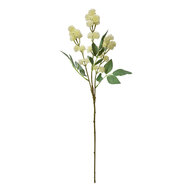 Clayre &amp; Eef   | Decoratie tak met bloemen Beige Groen 16x7x68 cm | 5PL0123BE
