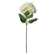 Clayre & Eef | Kunstbloem Beige Groen 16x15x68 cm | 5PL0137BE