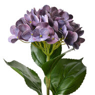 Clayre & Eef | Kunstbloem Paars Groen 16x15x68 cm | 5PL0137LPA