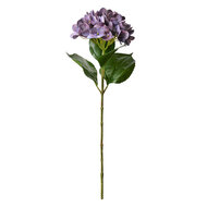 Clayre & Eef | Kunstbloem Paars Groen 16x15x68 cm | 5PL0137LPA