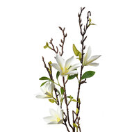 Clayre & Eef | Decoratie tak met bloemen Wit Groen 15x7x84 cm | 5PL0129W