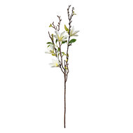 Clayre & Eef | Decoratie tak met bloemen Wit Groen 15x7x84 cm | 5PL0129W