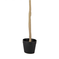 Clayre & Eef | Decoratie boom Groen 20x20x90 cm | 5PL0149