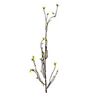 Clayre &amp; Eef   | Decoratie Tak Groen Bruin 8x5x116 cm | 5PL0182