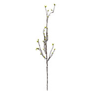 Clayre &amp; Eef   | Decoratie Tak Groen Bruin 8x5x116 cm | 5PL0182