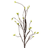 Clayre & Eef | Decoratie Tak Bruin Groen 28x8x130 cm | 5PL0185