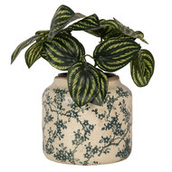 Clayre &amp; Eef   | Bloempot Binnen Beige Groen &oslash; 16x15 cm | 6CE1975M